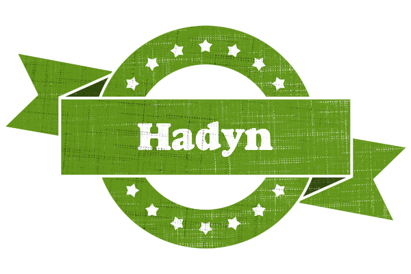 Hadyn natural logo