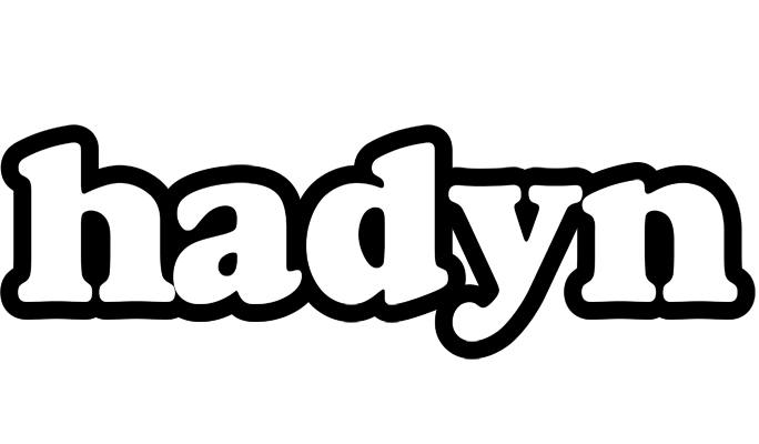 Hadyn panda logo