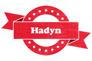 Hadyn passion logo