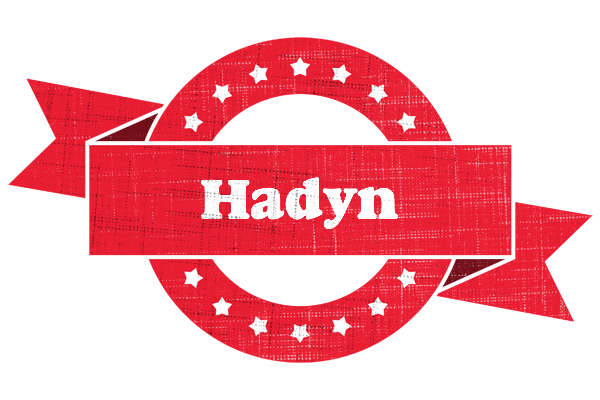 Hadyn passion logo
