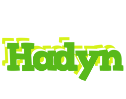 Hadyn picnic logo