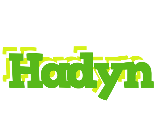 Hadyn picnic logo
