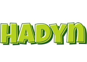 Hadyn summer logo