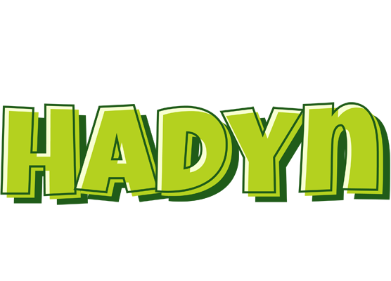 Hadyn summer logo