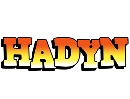 Hadyn sunset logo