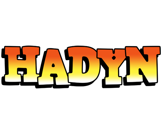 Hadyn sunset logo