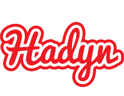 Hadyn sunshine logo