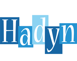 Hadyn winter logo