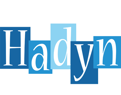 Hadyn winter logo