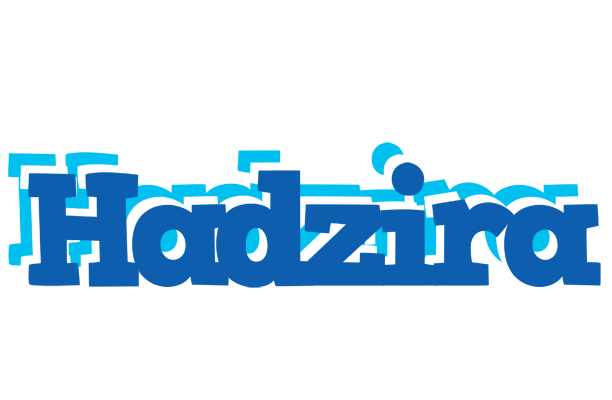 Hadzira business logo