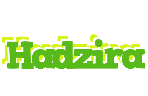 Hadzira picnic logo