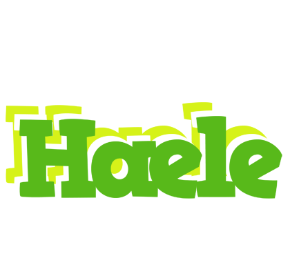 Haele picnic logo