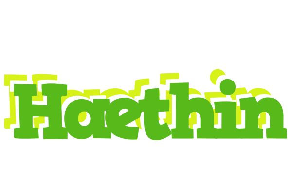 Haethin picnic logo