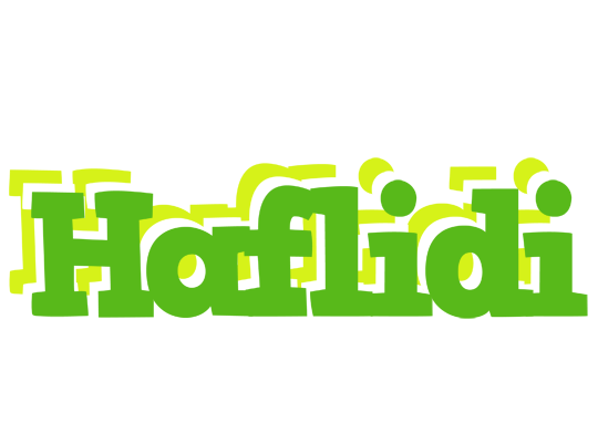 Haflidi picnic logo