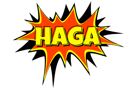 Haga bazinga logo