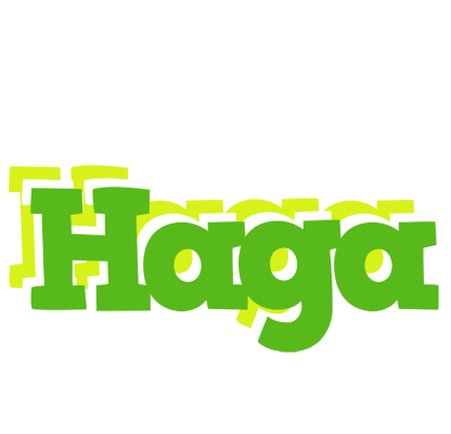Haga picnic logo