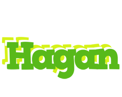 Hagan picnic logo