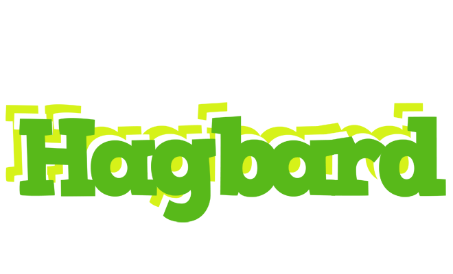 Hagbard picnic logo