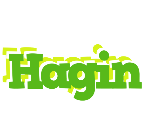 Hagin picnic logo