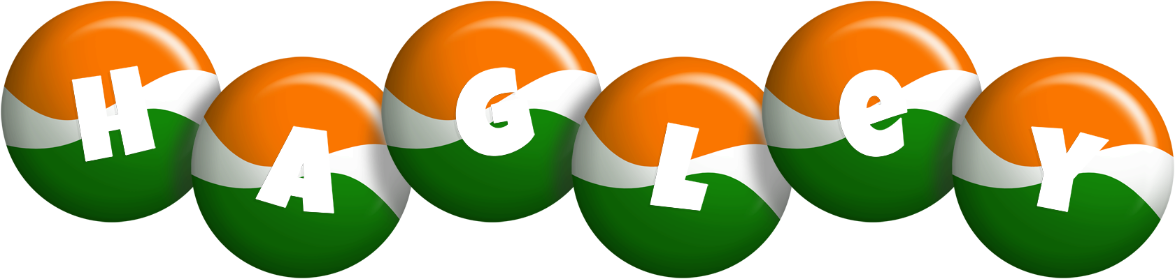 Hagley india logo