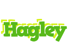 Hagley picnic logo