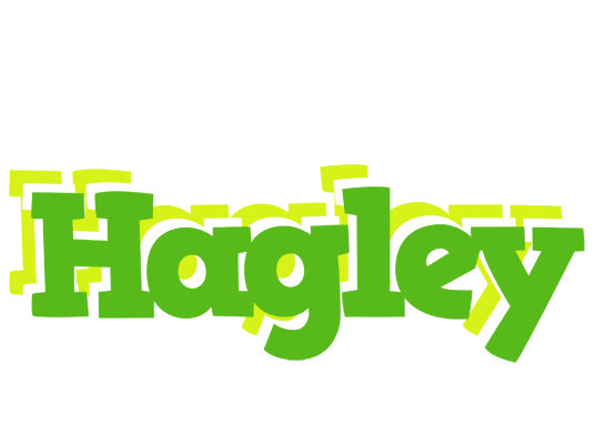 Hagley picnic logo
