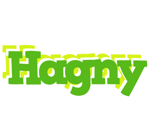 Hagny picnic logo