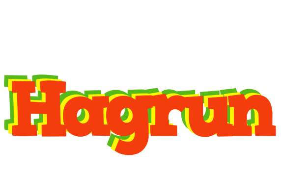 Hagrun bbq logo