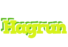 Hagrun citrus logo