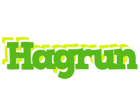Hagrun picnic logo