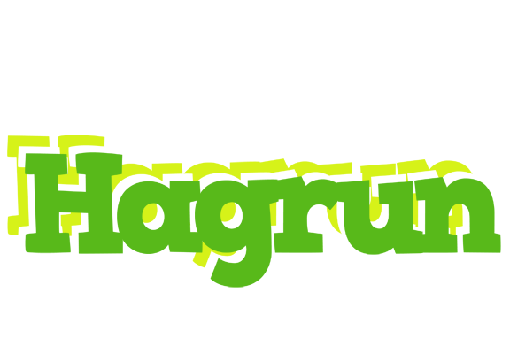 Hagrun picnic logo