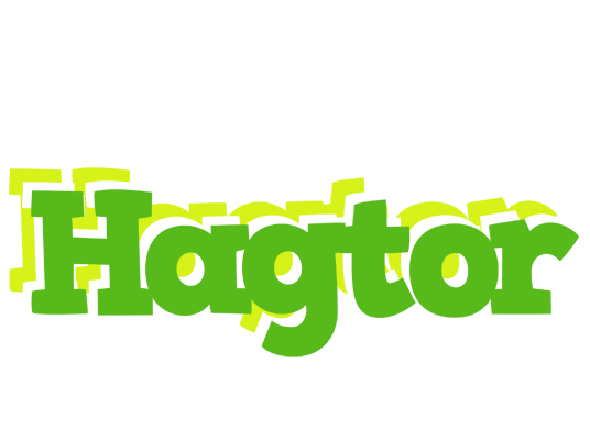 Hagtor picnic logo