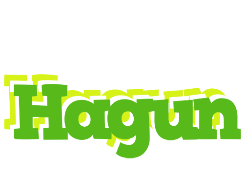 Hagun picnic logo