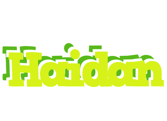 Haidan citrus logo