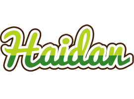 Haidan golfing logo