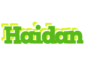 Haidan picnic logo