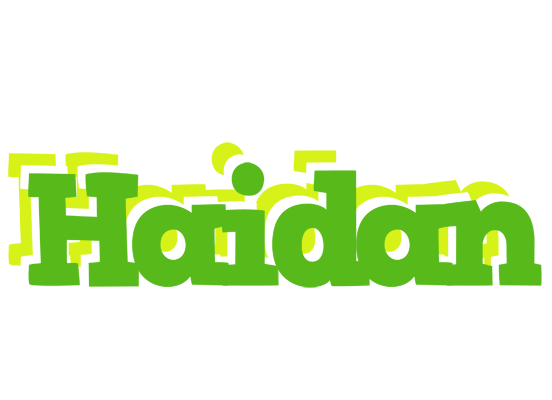 Haidan picnic logo