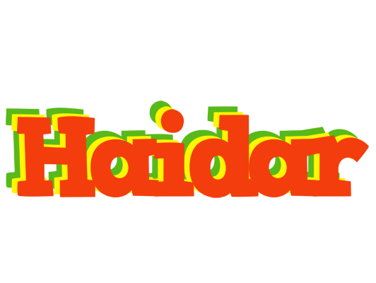 Haidar bbq logo