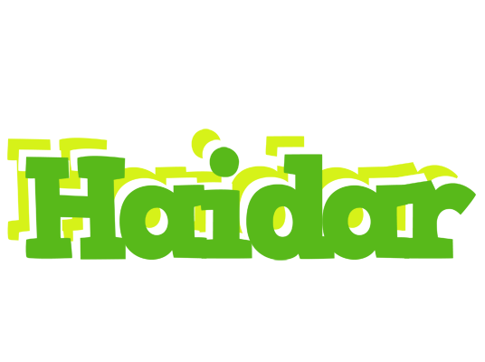 Haidar picnic logo