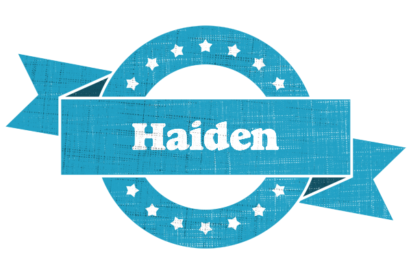 Haiden balance logo