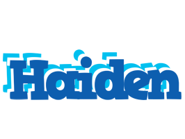 Haiden business logo