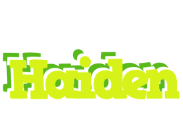 Haiden citrus logo