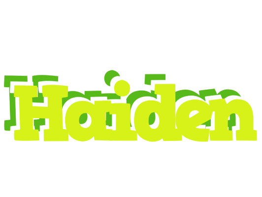Haiden citrus logo