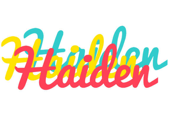 Haiden disco logo