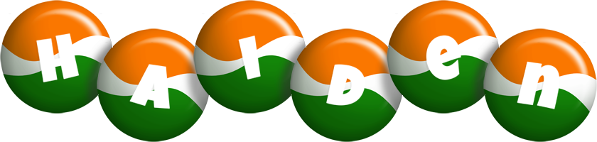 Haiden india logo