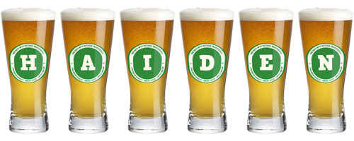 Haiden lager logo