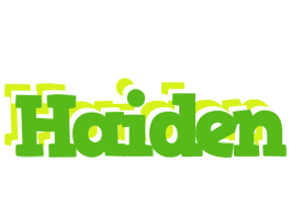 Haiden picnic logo