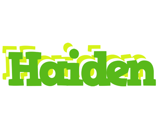 Haiden picnic logo