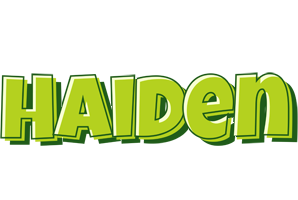 Haiden summer logo