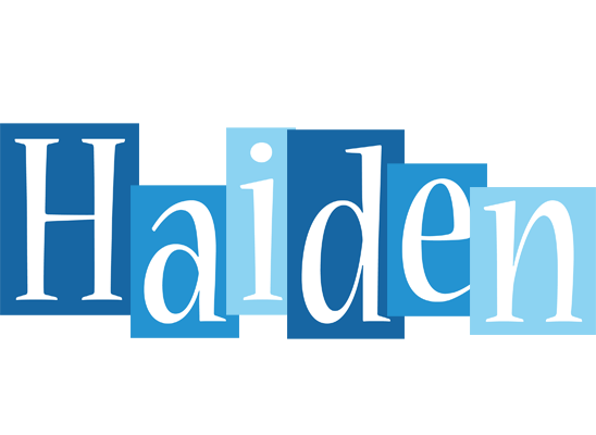 Haiden winter logo
